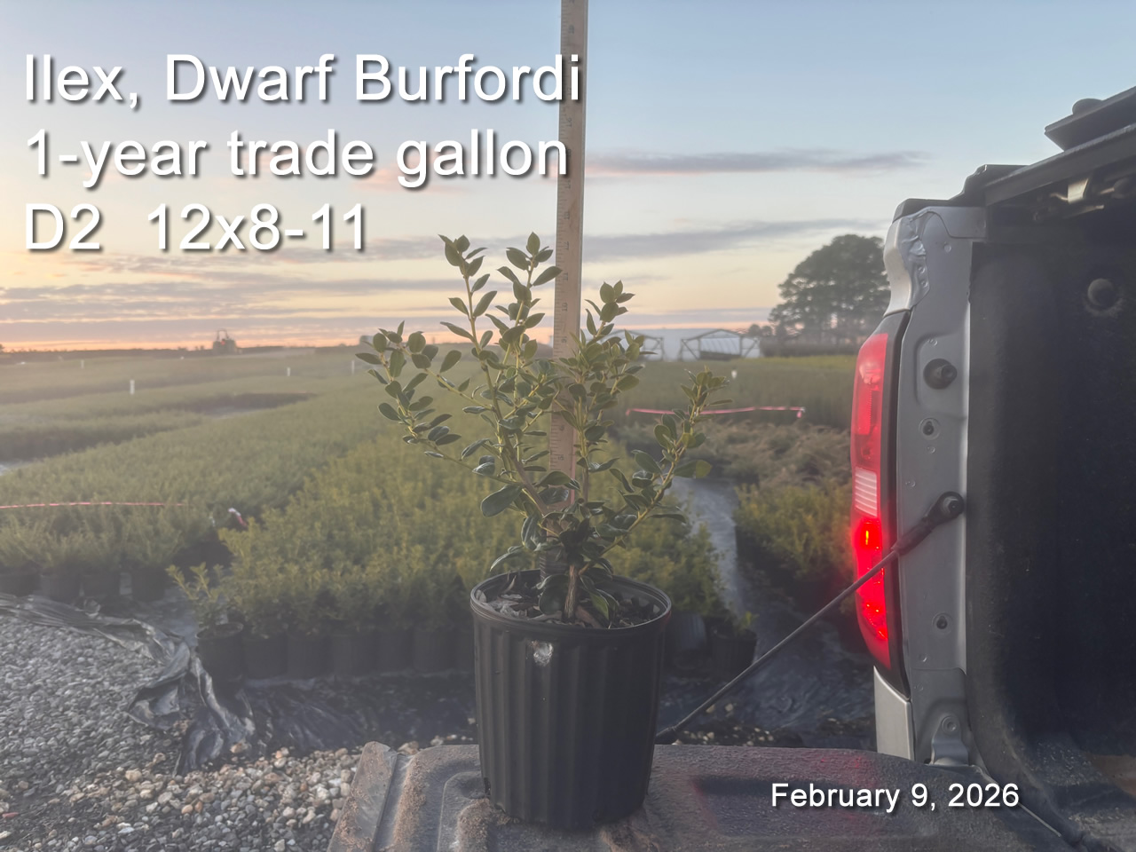 gallery/db1yt d2 feb9.jpg